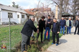 Засађено дрво мира у дворишту ОШ Трећи крагујевачки батаљон