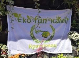 Канцеларија за младе добила свој зелени зид