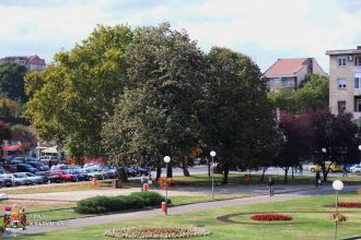 Систематска дератизација у Крагујевцу почиње 7. октобра