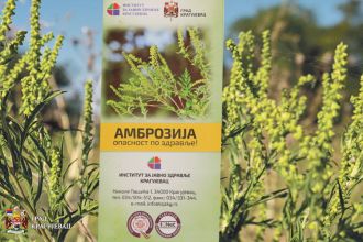 Едукација у оквиру програма Амброзија – опасност по здравље