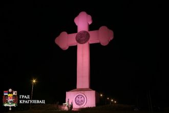 Светски дан превремено рођених беба