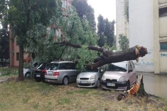 Градоначелник Никола Дашић обишао после невремена најкритичније тачке у Крагујевцу